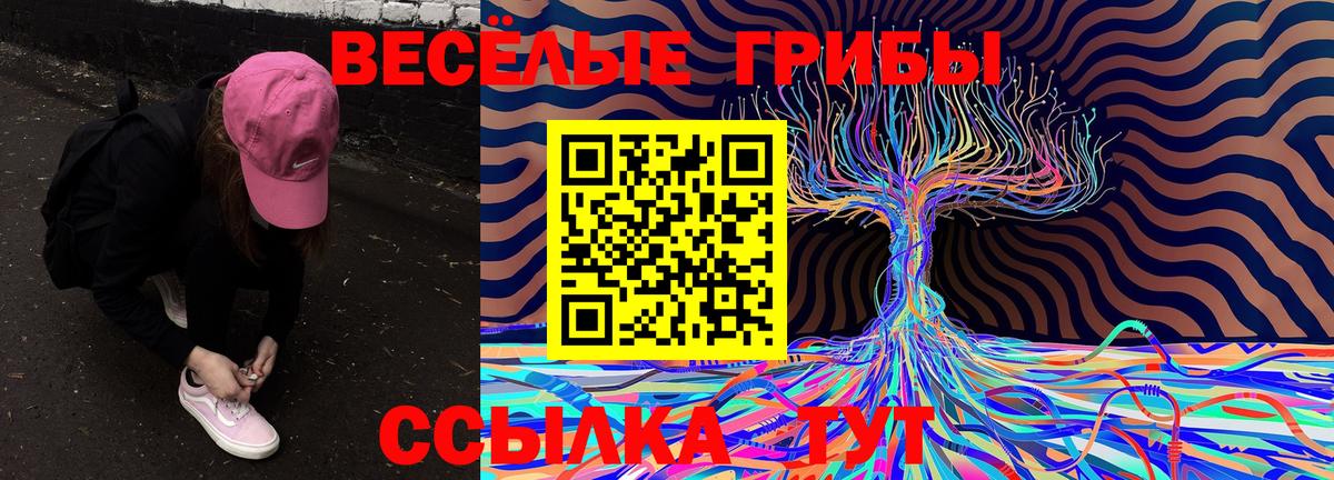 где купить   Псилоцибиновые грибы Magic Shrooms  Лесосибирск  Вход с VPN  Галлюциногенные грибы мухоморы 